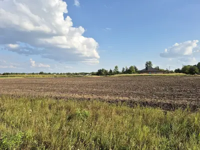 Продаж земельної ділянки в Гавришівці — мініатюра фото 9