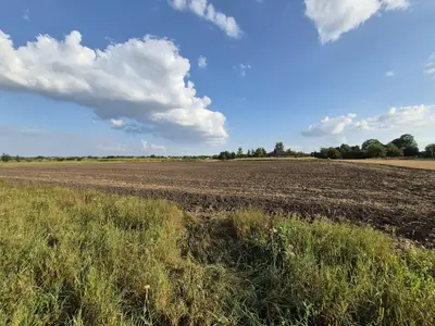 Продаж земельної ділянки в Гавришівці — мініатюра фото 10