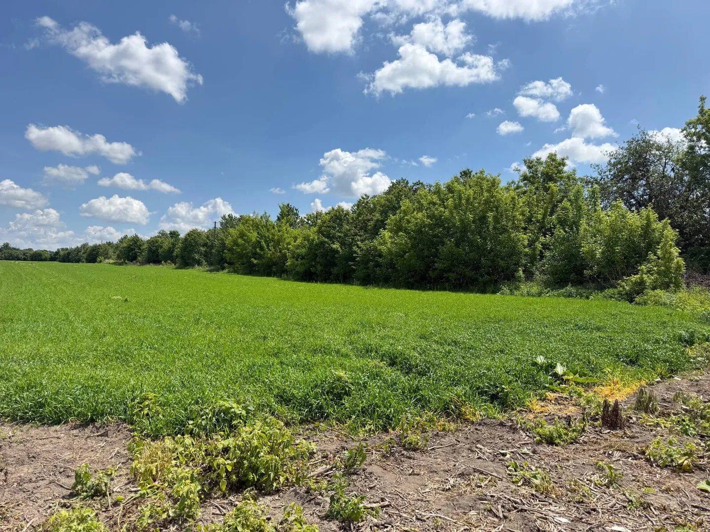 Продаж земельної ділянки в Горбанівці — фото 1 з 20