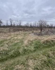 Продам земельну ділянку у Сутисках — мініатюра фото 2