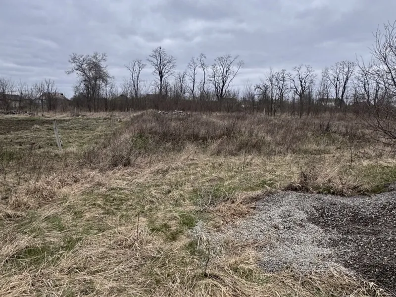 Продам земельну ділянку у Сутисках — фото 3 з 9