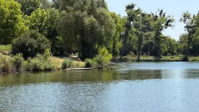 Ділянка 60 соток з прямим виходом до води • широкий власний приватний берег • с. Грузьке • 50 км від Києва — мініатюра фото 2