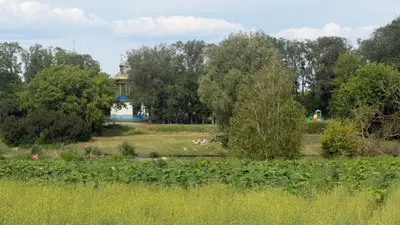 Ділянка 60 соток з прямим виходом до води • широкий власний приватний берег • с. Грузьке • 50 км від Києва — мініатюра фото 3