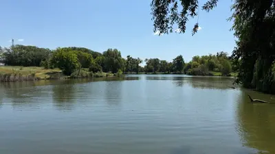 Ділянка 60 соток з прямим виходом до води • широкий власний приватний берег • с. Грузьке • 50 км від Києва — мініатюра фото 9