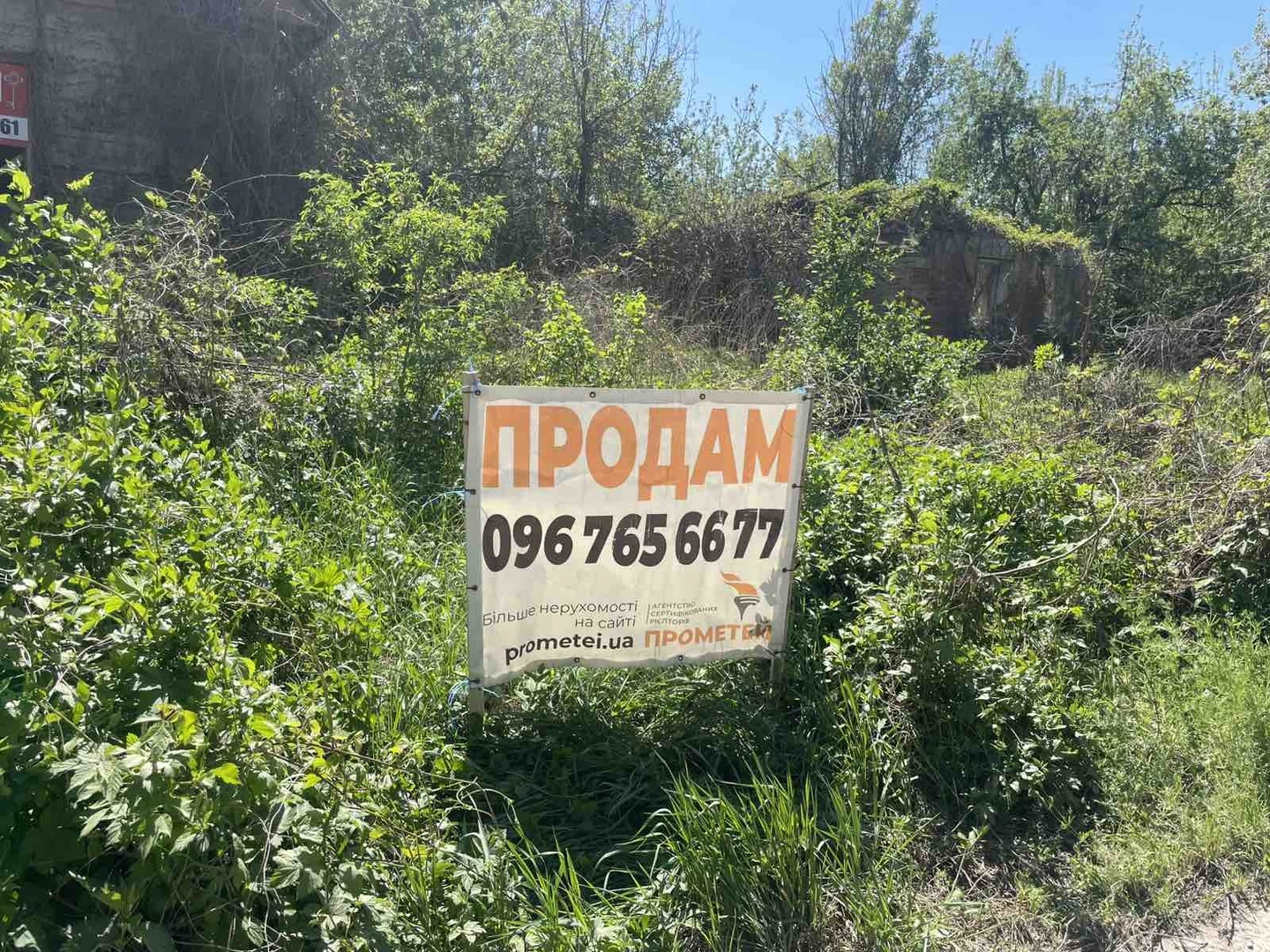 Продаж земельної ділянки у селі Селище — фото 3 з 5