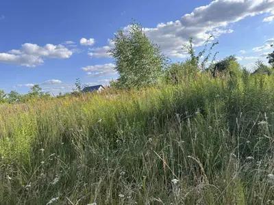 Продається земельна ділянка в ОК 'Ведмеже' — мініатюра фото 2