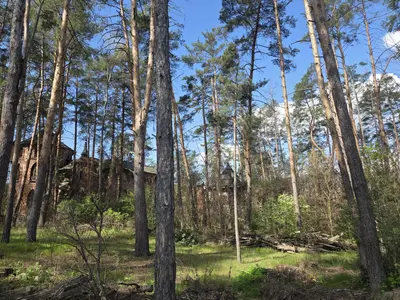 Продаж земельної ділянки 18 соток  — мініатюра фото 9