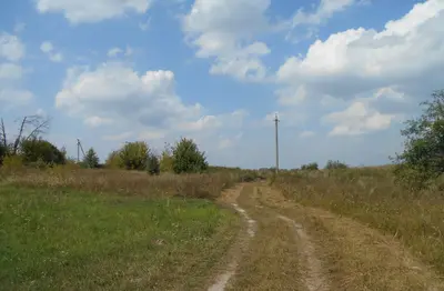 Земельна ділянка 3,35 га для садівництва Ясногородка — мініатюра фото 1