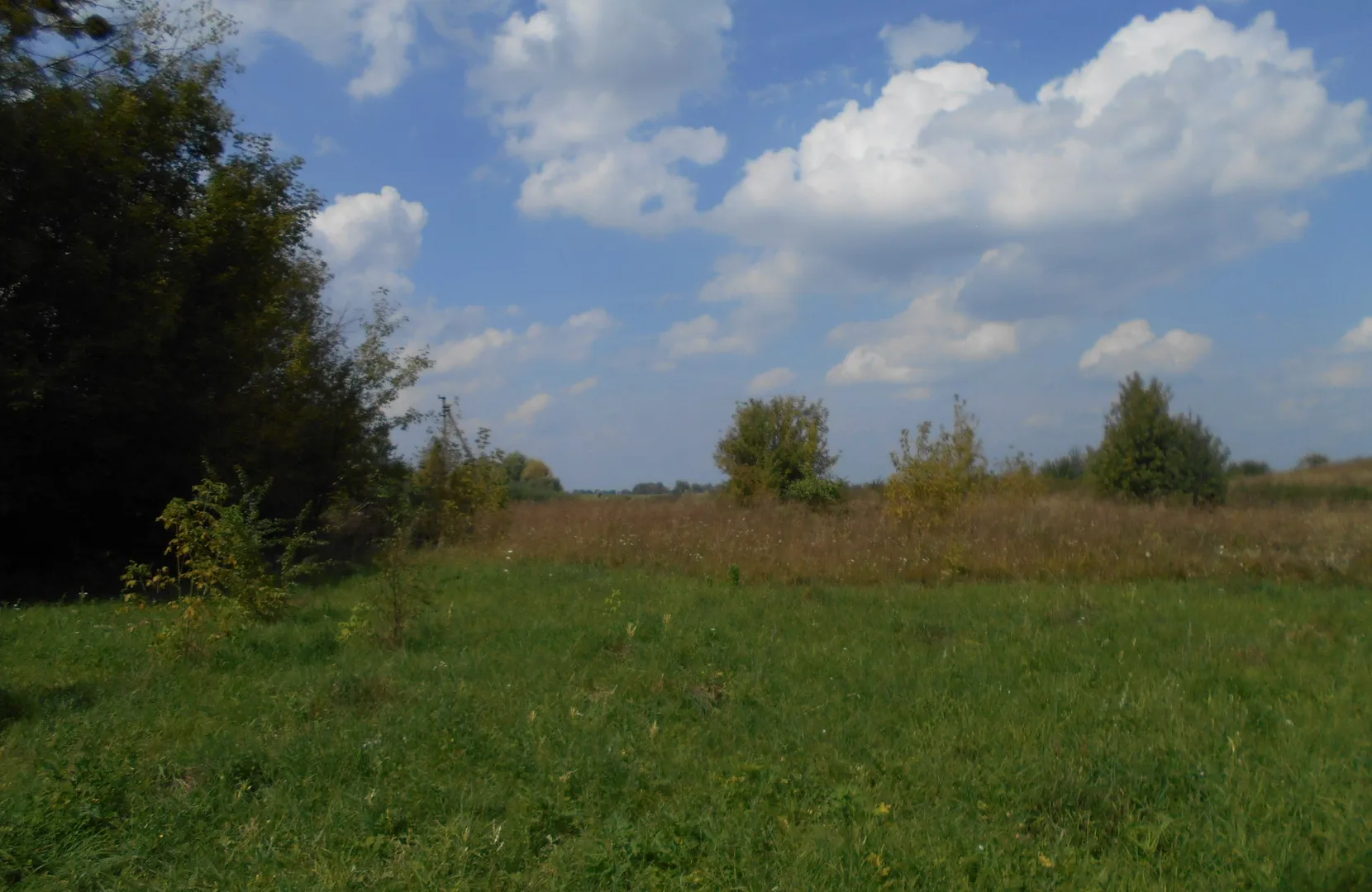 Земельна ділянка 3,35 га для садівництва Ясногородка — фото 4 з 5