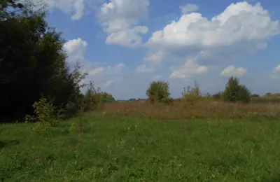 Земельна ділянка 3,35 га для садівництва Ясногородка — мініатюра фото 4