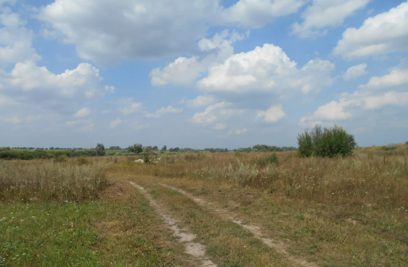 Земельна ділянка 3,35 га для садівництва Ясногородка — фото 5 з 5