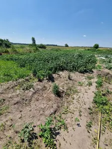 Земельна ділянка 0,25 га Для індивідуального садівництва — мініатюра фото 2
