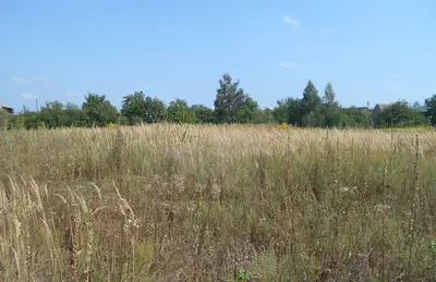 Земельна ділянка 0,25 га Для індивідуального садівництва — мініатюра фото 6