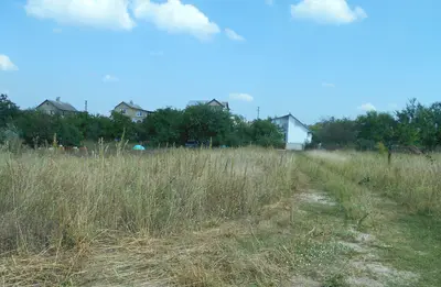 Земельна ділянка 0,25 га Для індивідуального садівництва — мініатюра фото 13