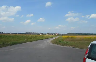 Земельна ділянка 0,25 га Для індивідуального садівництва — мініатюра фото 16
