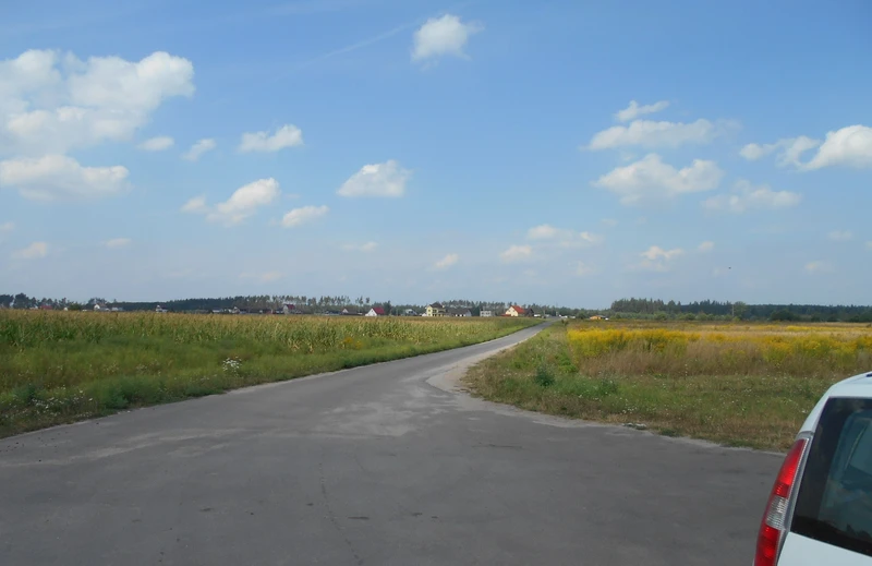 Земельна ділянка 0,25 га Для індивідуального садівництва — фото 16 з 16