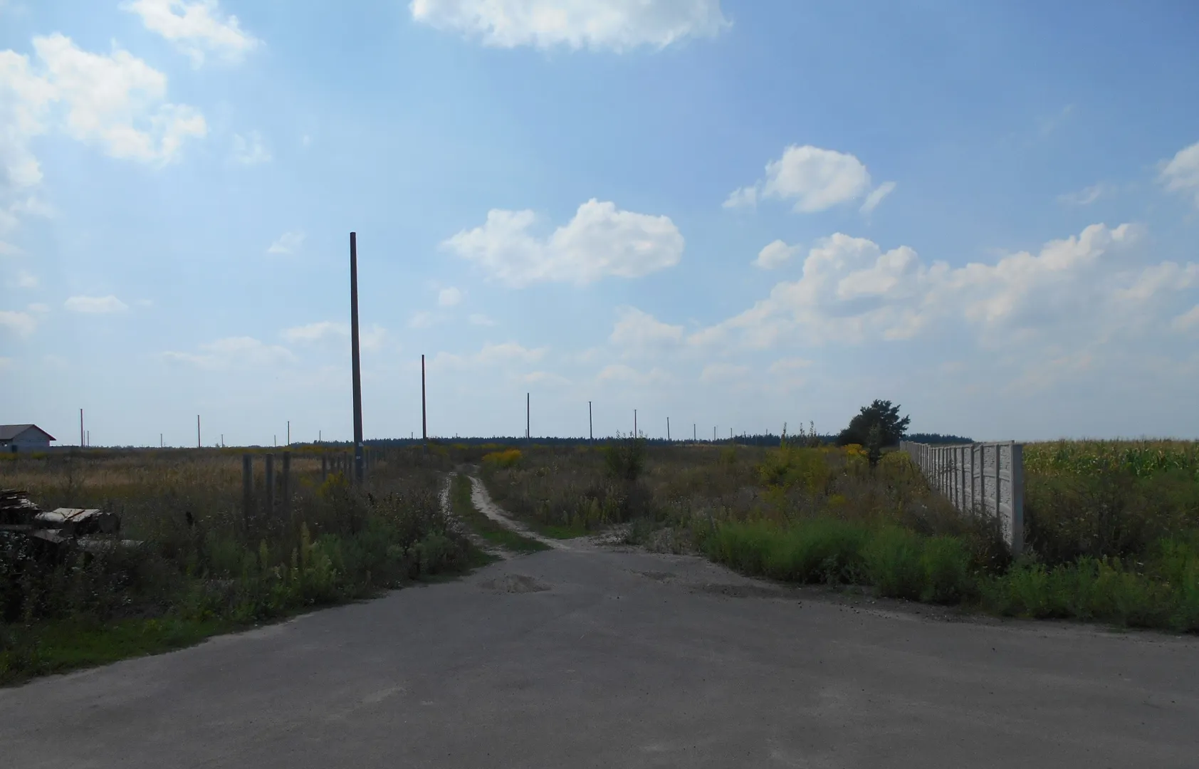 Земельна ділянка 0,25 га Для індивідуального садівництва — фото 13 з 14