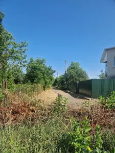 Земельна ділянка 0,25 га Для індивідуального садівництва — мініатюра фото 3