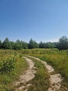 Земельна ділянка 0,25 га Для індивідуального садівництва — мініатюра фото 4