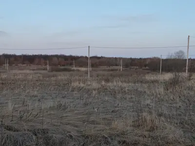 продаж земельної ділянки 12 соток — мініатюра фото 4