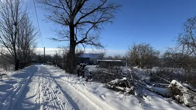 Терміново!!! Продаж земельної ділянки під житлову забудову у Дашківцях — мініатюра фото 11