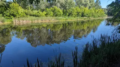 Продається земельна ділянка! — мініатюра фото 2