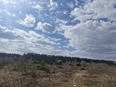 Комерція.Станишівка, 2,78Га. (24105448) — мініатюра фото 3
