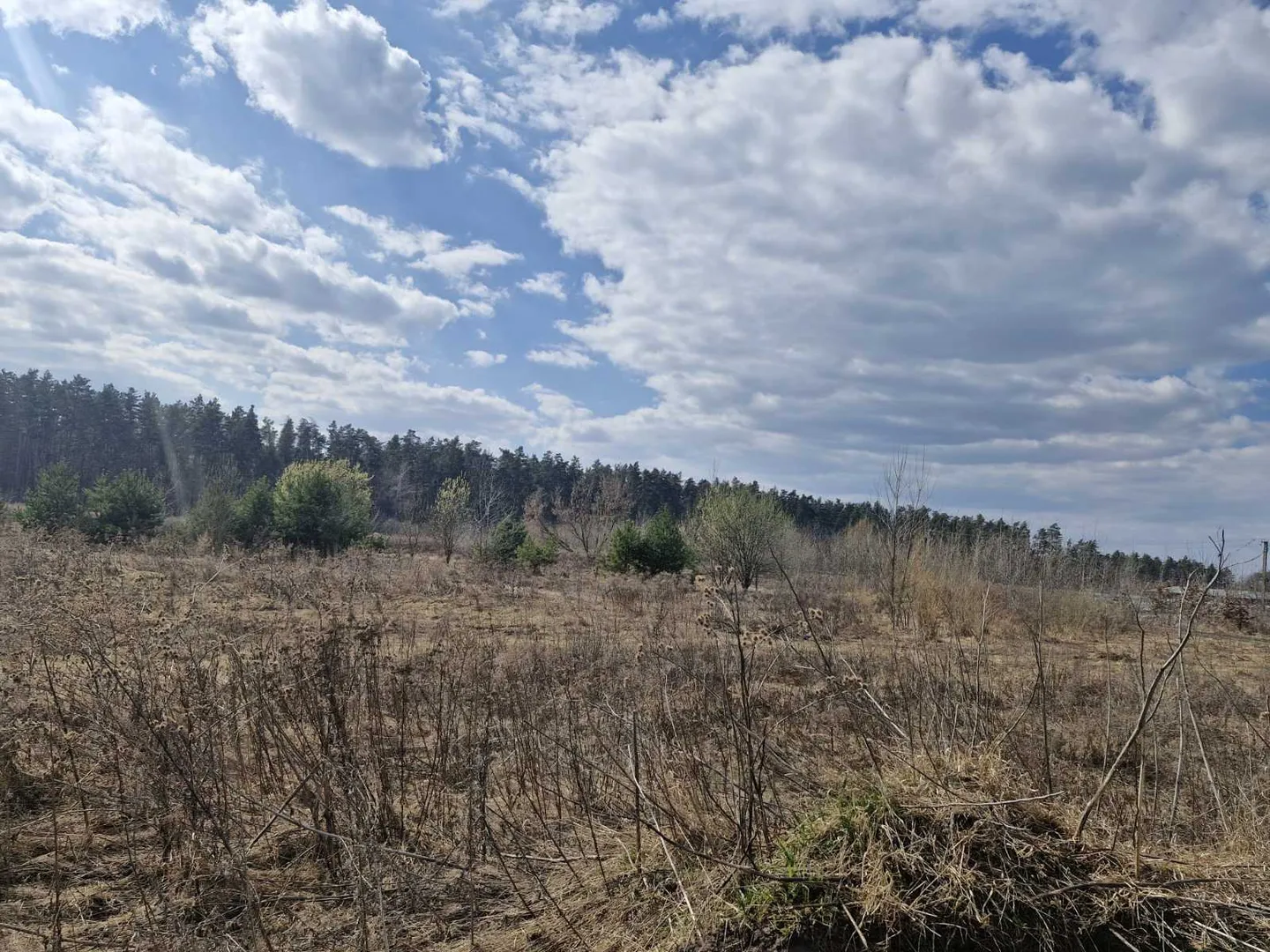 Комерція.Станишівка, 2,78Га. (24105448) — фото 4 з 17