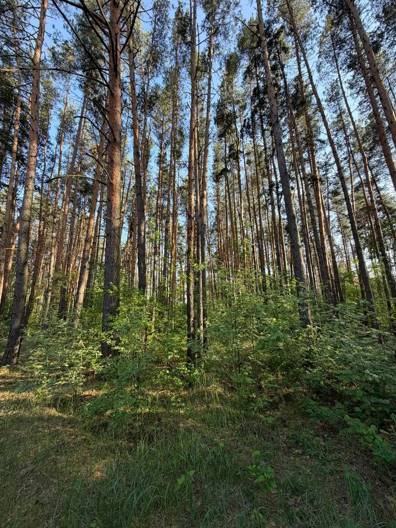 Продам 12 соток в закритому котеджному містечку — фото 2 з 5
