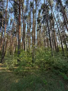 Продам 12 соток в закритому котеджному містечку — мініатюра фото 2