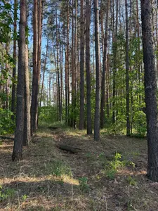 Продам 12 соток в закритому котеджному містечку — мініатюра фото 3