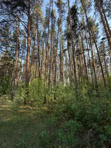 Продам 12 соток в закритому котеджному містечку — мініатюра фото 4