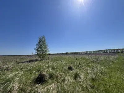 Продається земельна ділянка в мальовничому місці — мініатюра фото 1