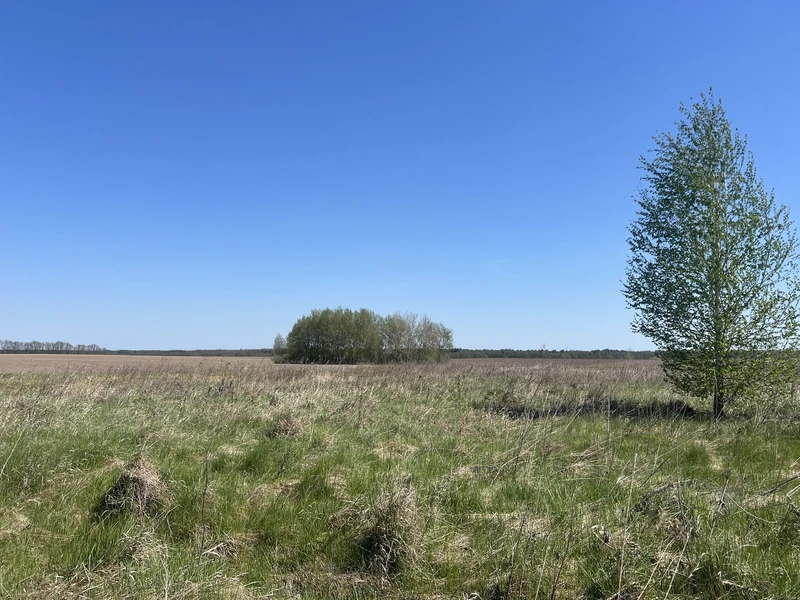 Продається земельна ділянка в мальовничому місці — фото 3 з 12