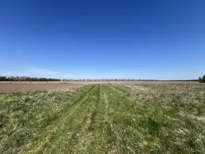 Продається земельна ділянка в мальовничому місці — мініатюра фото 5