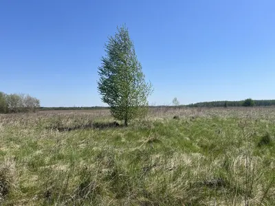 Продається земельна ділянка в мальовничому місці — мініатюра фото 6