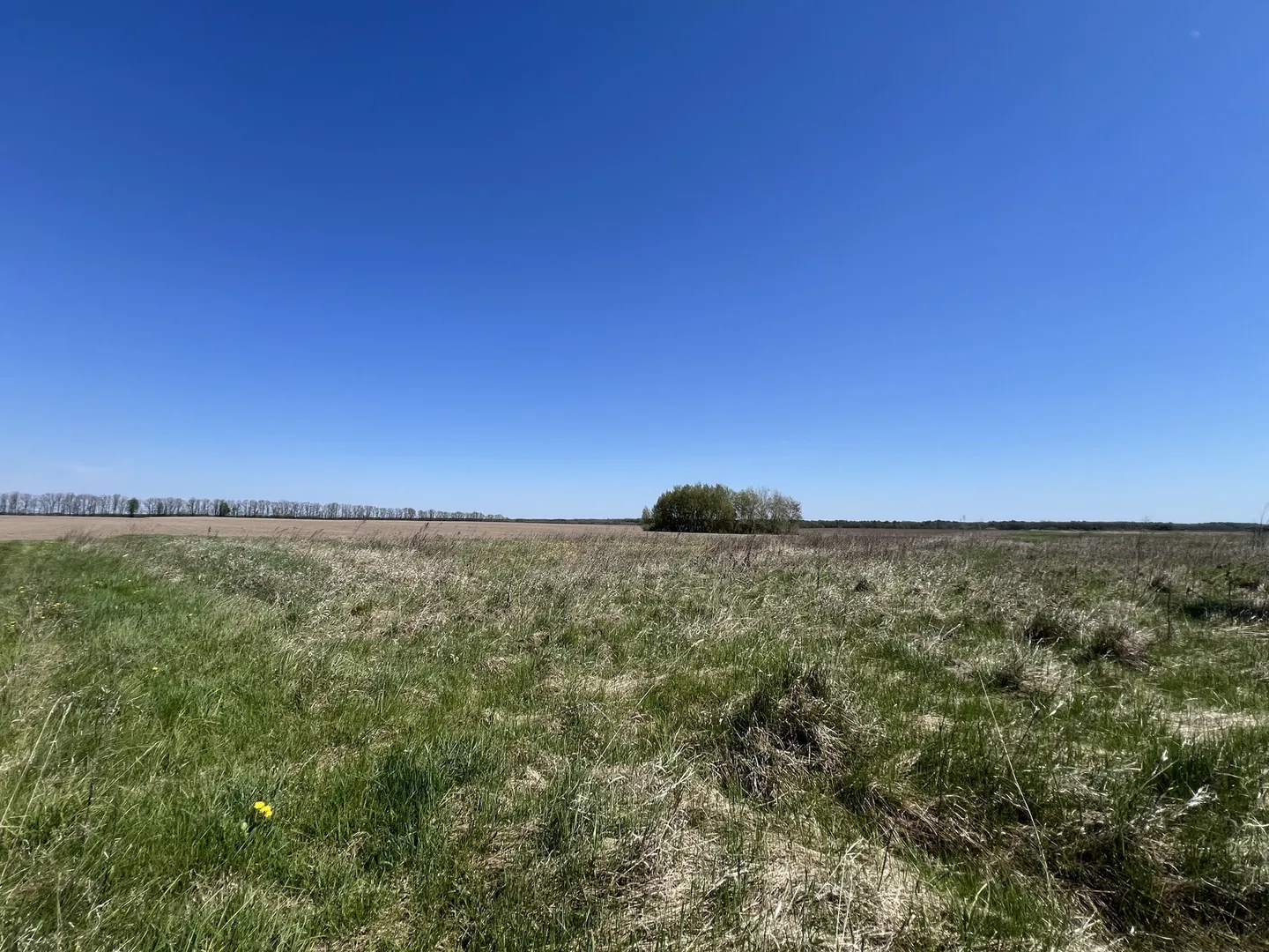 Продається земельна ділянка в мальовничому місці — фото 7 з 12