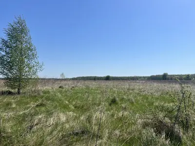 Продається земельна ділянка в мальовничому місці — мініатюра фото 10