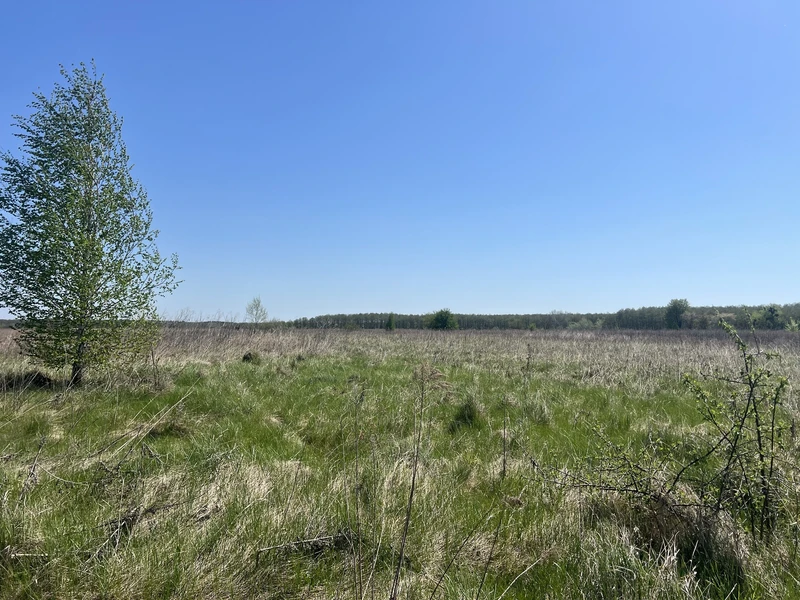 Продається земельна ділянка в мальовничому місці — фото 10 з 12