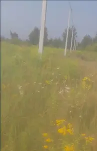 Продаю своє ОСГ 10 соток по вул. 1 Травня в Нових Петрівцях — мініатюра фото 4