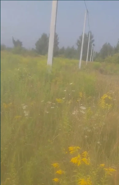 Продаю своє ОСГ 10 соток по вул. 1 Травня в Нових Петрівцях з можливістю забудови — фото 4 з 5