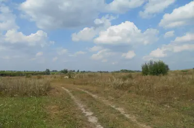 Земельна ділянка 5,32 га для садівництва Ясногородка — мініатюра фото 5