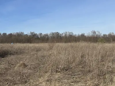 Продам ділянку 10 сот в Зарванцях, під будівництво — мініатюра фото 4