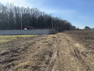 Продам ділянку 10 сот в Зарванцях, під будівництво — мініатюра фото 5