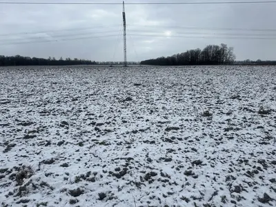 Продаж ділянки в Горбанівці — мініатюра фото 3