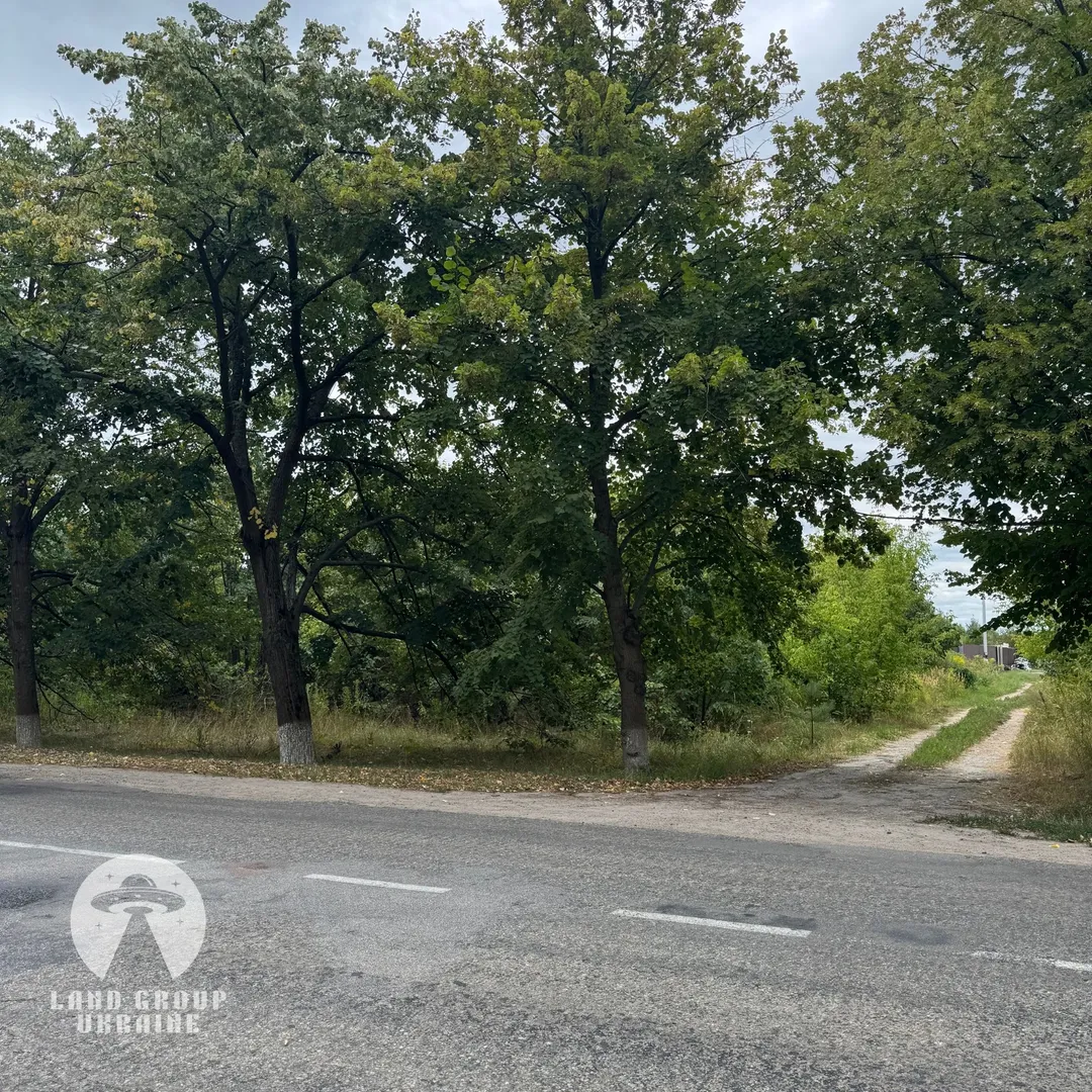 Дмитрівка | 12 соток | 2 фасади | Газ | 16 кВт | Без комісії — фото 6 з 11