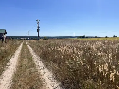 Продам кутову ділянку (Дред) — мініатюра фото 2
