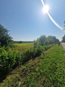 Земельна ділянка 0,2135 га Для будівництва і обслуговування житлового будинку — мініатюра фото 2
