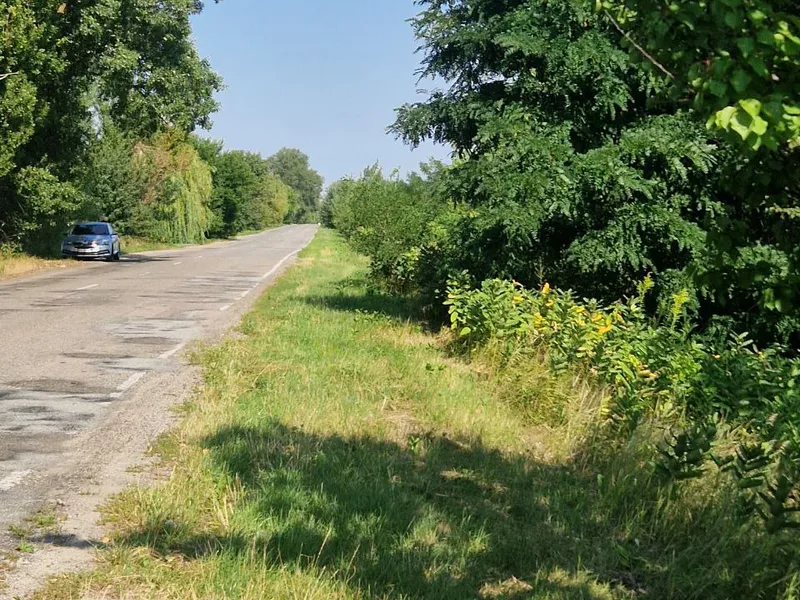 Земельна ділянка 0,2128  га Для будівництва і обслуговування житлового будинку — фото 4 з 5