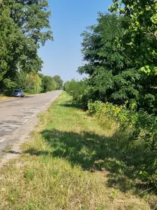 Земельна ділянка 0,2128  га Для будівництва і обслуговування житлового будинку — мініатюра фото 4